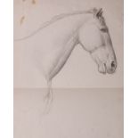 School of Theodore Gericault (French, 1791 - 1824) Pencil study of horse on paper with pencil