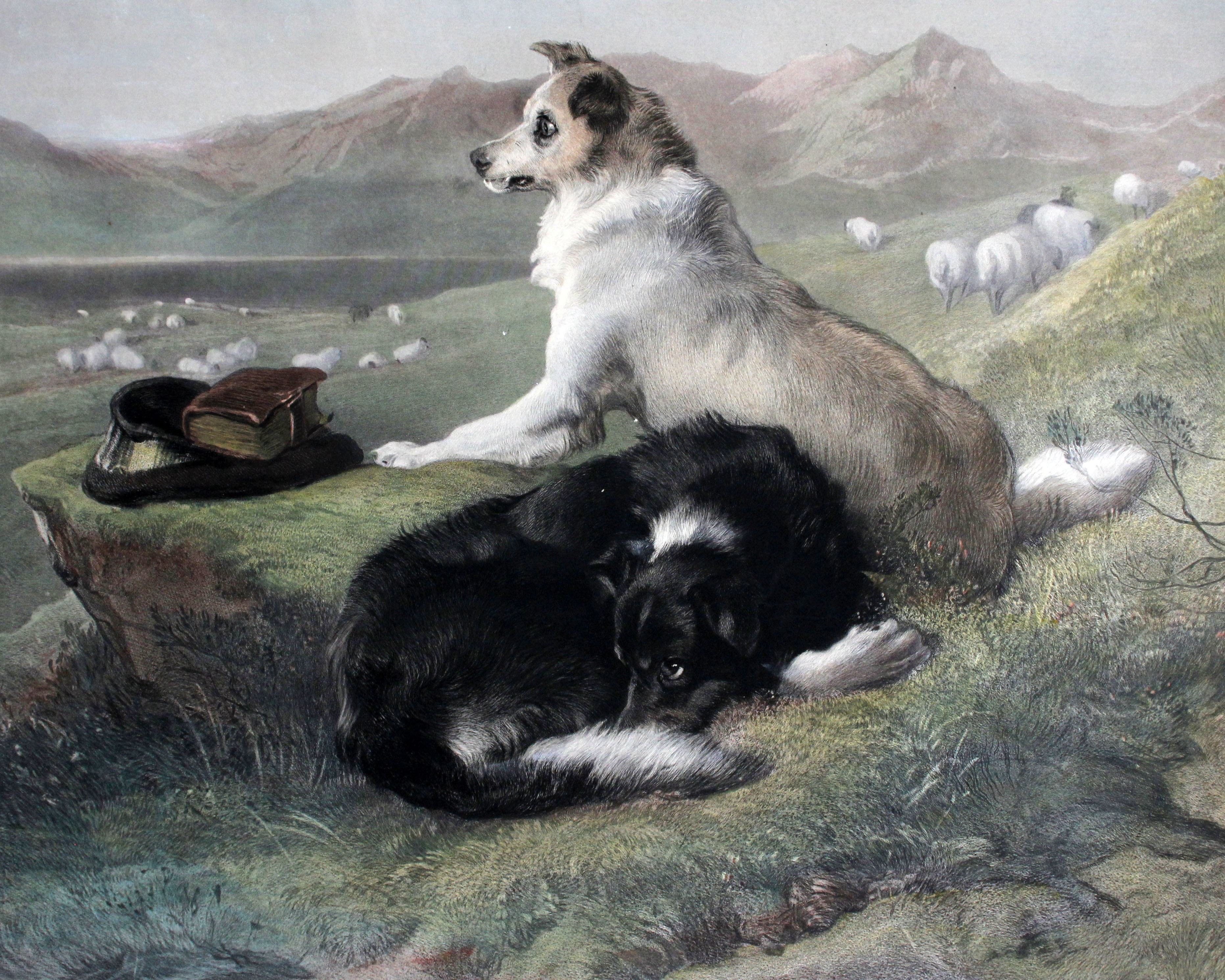 Charles G. Lewis after Sir Edwin Landseer 'Colly Dogs' Print Published by Lewis, London