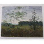 A 20th Century Oil Painting of LandscapeOil on canvas over boardIndistinctly signed bottom right,