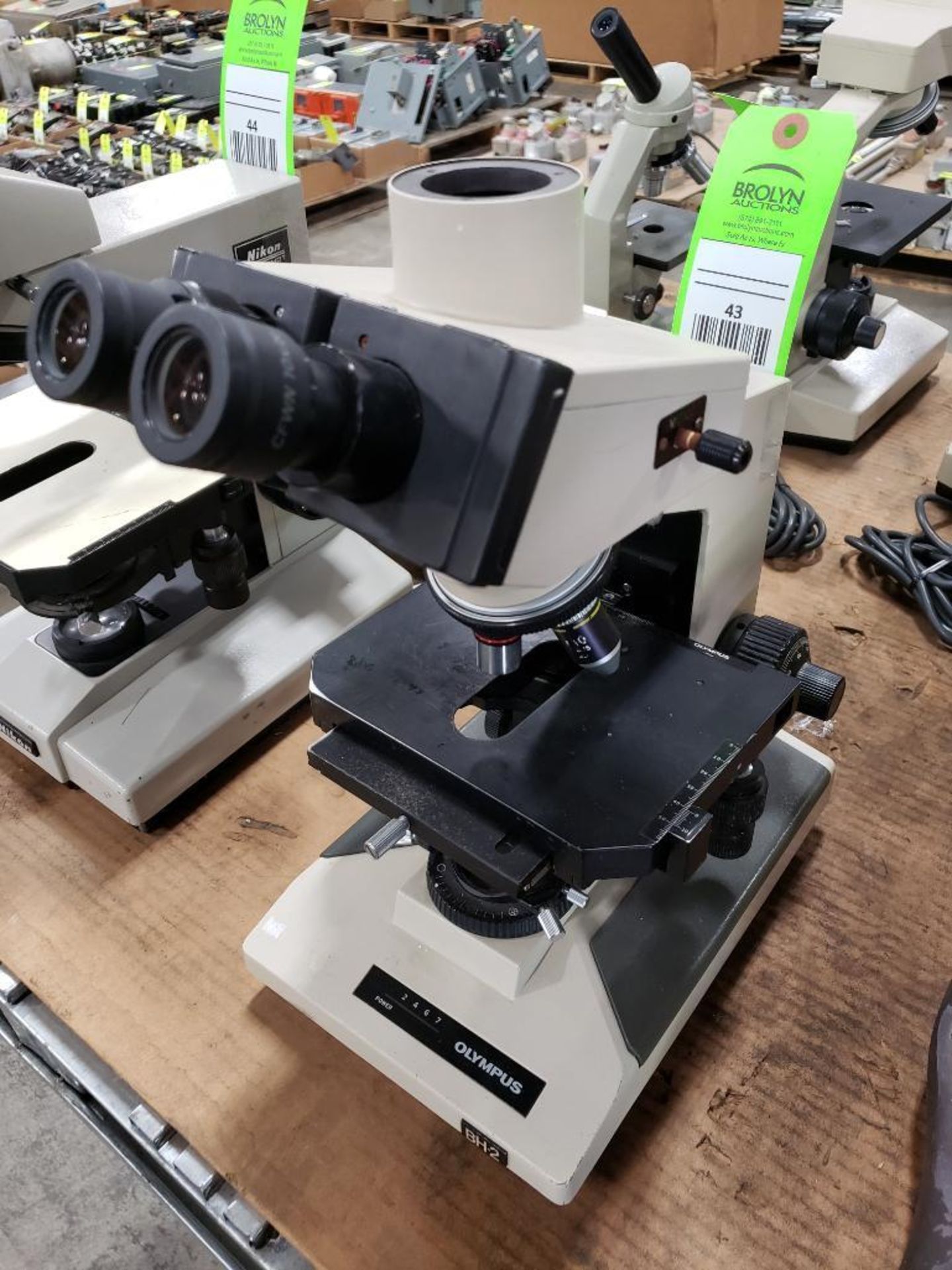 Olympus BH-2 microscope.