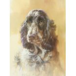 Three Signed Dog Prints, signed in pencil, largest 37.5cm x 56cm, (3)