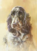 Three Signed Dog Prints, signed in pencil, largest 37.5cm x 56cm, (3)