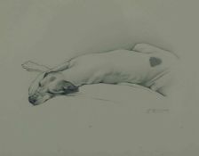 Laura Cullen (Irish, B.1997) "English Pointer", graphite, signed to lower right, 20cm x 25cm (Framed