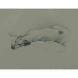 Laura Cullen (Irish, B.1997) "English Pointer", graphite, signed to lower right, 20cm x 25cm (Framed