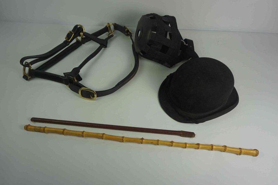 Quantity of Equestrian Accessories, To include five Show Canes, Five Head Collars, Seven Grazing - Image 2 of 10