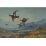 Archibald Thorburn (1860-1935) "Flying Game Birds" Signed Print, Signed in pencil, Blind stamp to