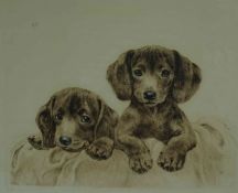Kurt Meyer Eberhardt "Two Puppies" Signed Proof Etching, Signed in pencil, 20cm x 24cm, To verso