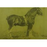 Quantity of Amateur Artist Pencil / Charcoal Drawings, To include Animal subjects of Horses,
