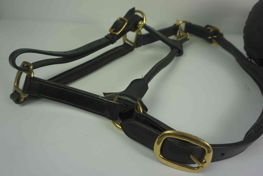 Quantity of Equestrian Accessories, To include five Show Canes, Five Head Collars, Seven Grazing - Image 4 of 10