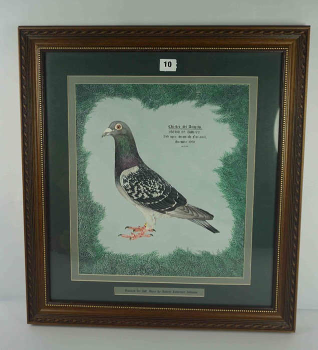 Audrey Lawrence Johnson "Charter St Andrew" Racing Pigeon, Watercolour, 2nd Open Scottish - Image 2 of 3
