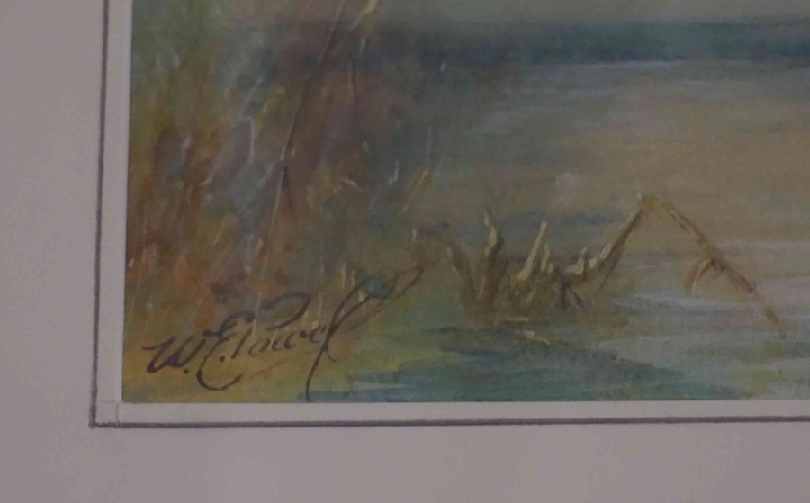 W E Powell (British) "Flying Mallard Ducks" Watercolour, Signed to lower left, 20 x 25cm - Image 3 of 3