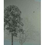 Donald Addison "January Blossom" Limited Edition Print, Signed in pencil, No 15 of 60, Signed and