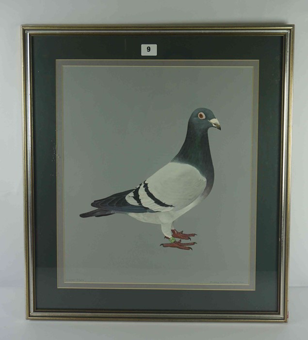 Audrey Lawrence Johnson "Charter Flight" Racing Pigeon, Watercolour, Signed in Pencil, 44cm x 37. - Image 3 of 3