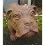 Cast Iron Garden Figure of a Bulldog, 38cm high, 75cm wide