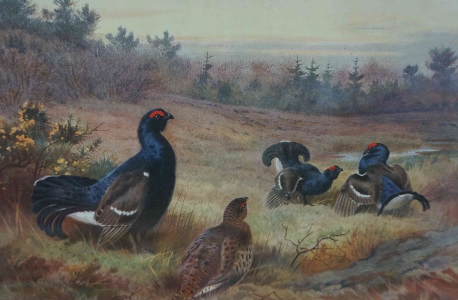 Archibald Thorburn (1860-1935) "Game Birds" Signed Print, Signed in pencil, 17cm x 25.5cm, Also with