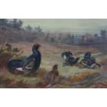 Archibald Thorburn (1860-1935) "Game Birds" Signed Print, Signed in pencil, 17cm x 25.5cm, Also with