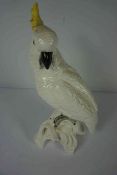 Crown Staffordshire Figure of a Parrot, Modelled by J.T. Jones, 35cm high