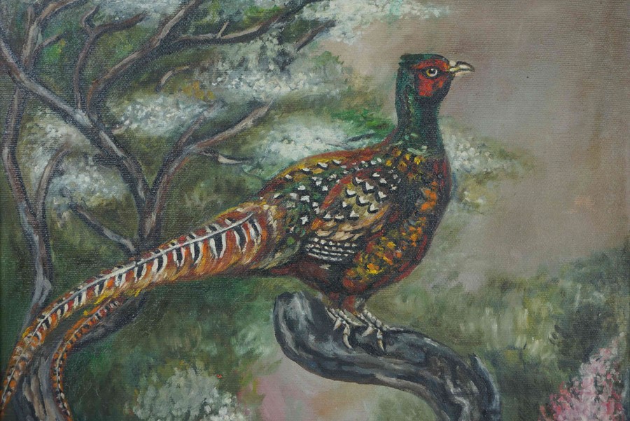 Murray Pickles "Pheasants" Two Oils on Canvas, Signed, 35cm x 44cm, In a gilt frame, (2)