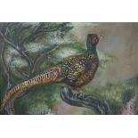 Murray Pickles "Pheasants" Two Oils on Canvas, Signed, 35cm x 44cm, In a gilt frame, (2)
