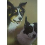 Quantity of Prints and Pictures, To include Limited edition dog prints, Antique prints etc,