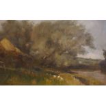 Andrew Black (Scottish R.S.W) "Woodlands Scene" Oil on Canvas, signed, 24cm x 34cm, in gilt frame