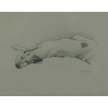 Laura Cullen (Irish, B.1997) "English Pointer", Graphite, Signed to lower right, 20cm x 25cm (Framed
