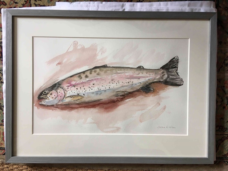 Selina Wilson (British, B.1986) "Rainbow Trout", watercolour on paper, signed to lower right, signed - Image 5 of 5