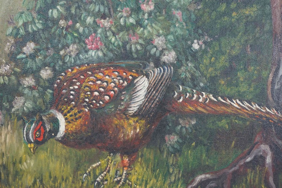Murray Pickles "Pheasants" Two Oils on Canvas, Signed, 35cm x 44cm, In a gilt frame, (2) - Image 4 of 4