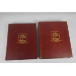 T. Craig Brown, The History of Selkirkshire or Chronicles of Ettrick Forest, Volumes 1 and 2,
