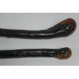 Two Tribal Style Root Walking Sticks, 92cm long, (2)