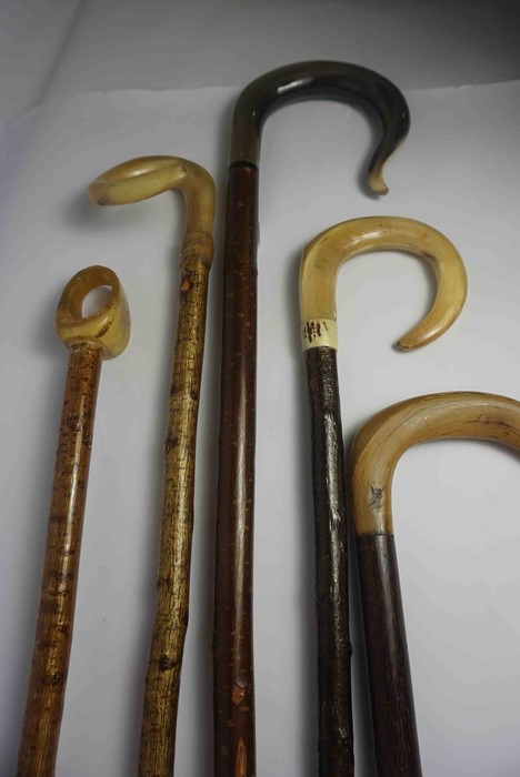 Five Shepherds Style Walking Sticks, Having Horn handles, 92cm, 99cm, 118cm, 133cm, 155cm long, (5) - Image 4 of 4