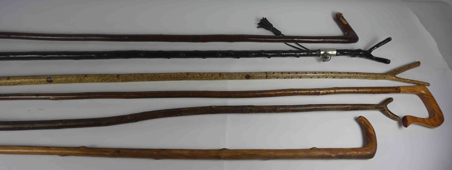 Six Assorted Walking Sticks, 94cm, 122cm, 124cm, 127cm, 130cm long, (6) - Image 2 of 4