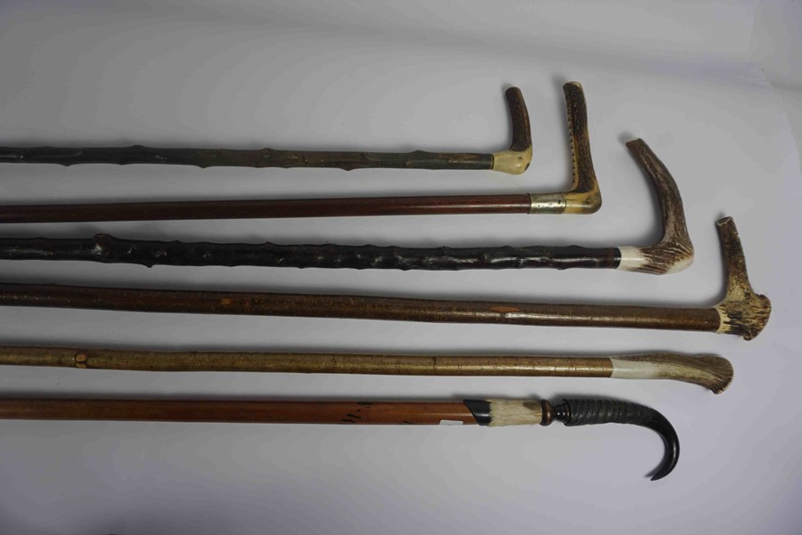 Six Shepherds Style Walking Sticks, FIve examples having Antler handles, The other having a Rams - Image 2 of 5