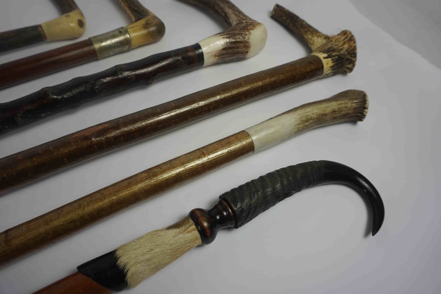 Six Shepherds Style Walking Sticks, FIve examples having Antler handles, The other having a Rams - Image 4 of 5