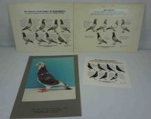 Anthony Bolton, Quantity of Signed Pigeon Tournament Award Black and White Photographic Cut Outs,