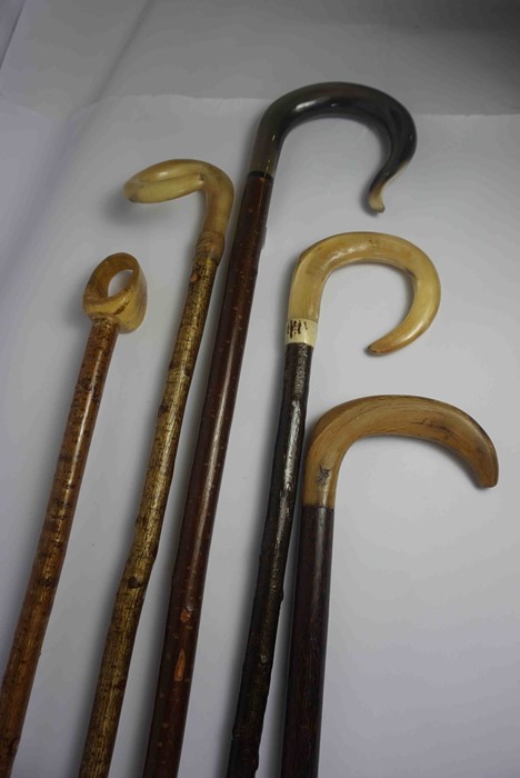 Five Shepherds Style Walking Sticks, Having Horn handles, 92cm, 99cm, 118cm, 133cm, 155cm long, (5)