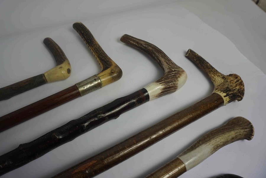 Six Shepherds Style Walking Sticks, FIve examples having Antler handles, The other having a Rams - Image 5 of 5