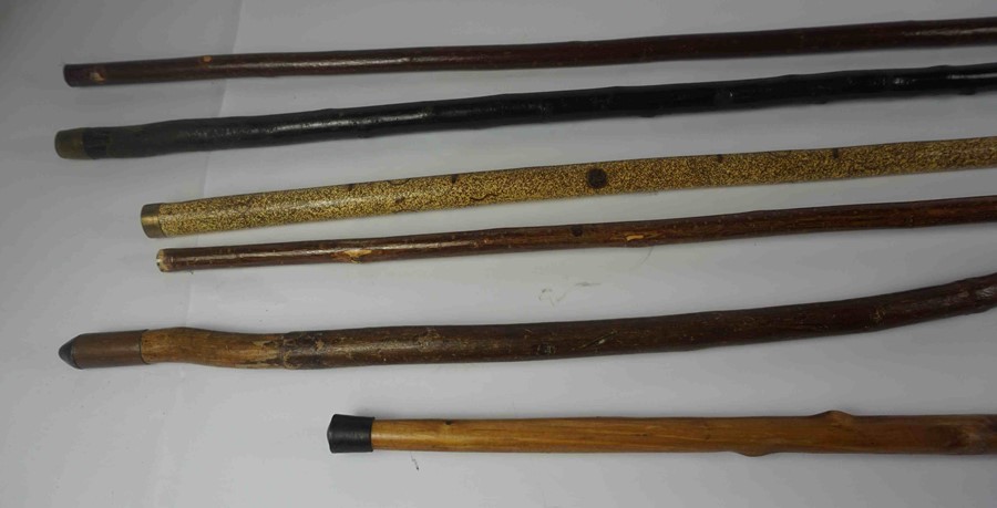 Six Assorted Walking Sticks, 94cm, 122cm, 124cm, 127cm, 130cm long, (6) - Image 3 of 4