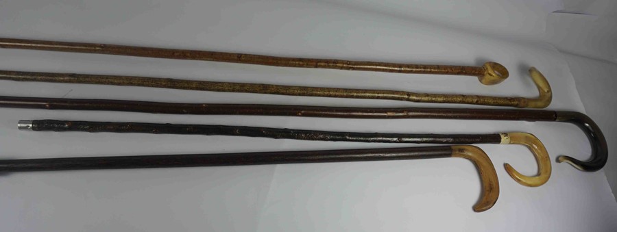 Five Shepherds Style Walking Sticks, Having Horn handles, 92cm, 99cm, 118cm, 133cm, 155cm long, (5) - Image 2 of 4