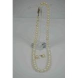String of Cultured Pearls, Having a 9ct Gold Clasp, 20cm long, Also with a pair of Cultured Pearl