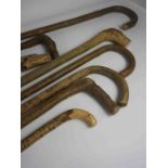Eight Root Style Walking Sticks, 85cm, 89cm, 90cm, 91cm, 93cm, 95cm long, (8)