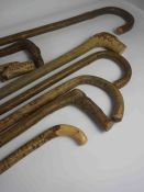 Eight Root Style Walking Sticks, 85cm, 89cm, 90cm, 91cm, 93cm, 95cm long, (8)