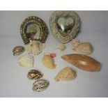 Quantity of Sea Shells, To include two wall mounting Ship Pictures, Mounted with Sea Shells, (13)