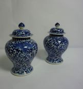 Pair of Chinese Kangxi Style Blue and White Pottery Vases with Covers, Decorated with allover