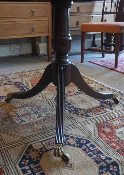 Regency Style Mahogany Twin Pedestal Dining Table, Raised on Brass Animal Paw Sabots with Castors, - Image 4 of 9