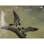 "Birds of Prey" Signed Limited Edition Print, Signed indistinctly in Pencil, No 148 of 300, 46cm x