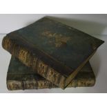 Two Victorian Leather Bound Volumes of Shakespeares Works, Imperial Edition, Edited by Charles