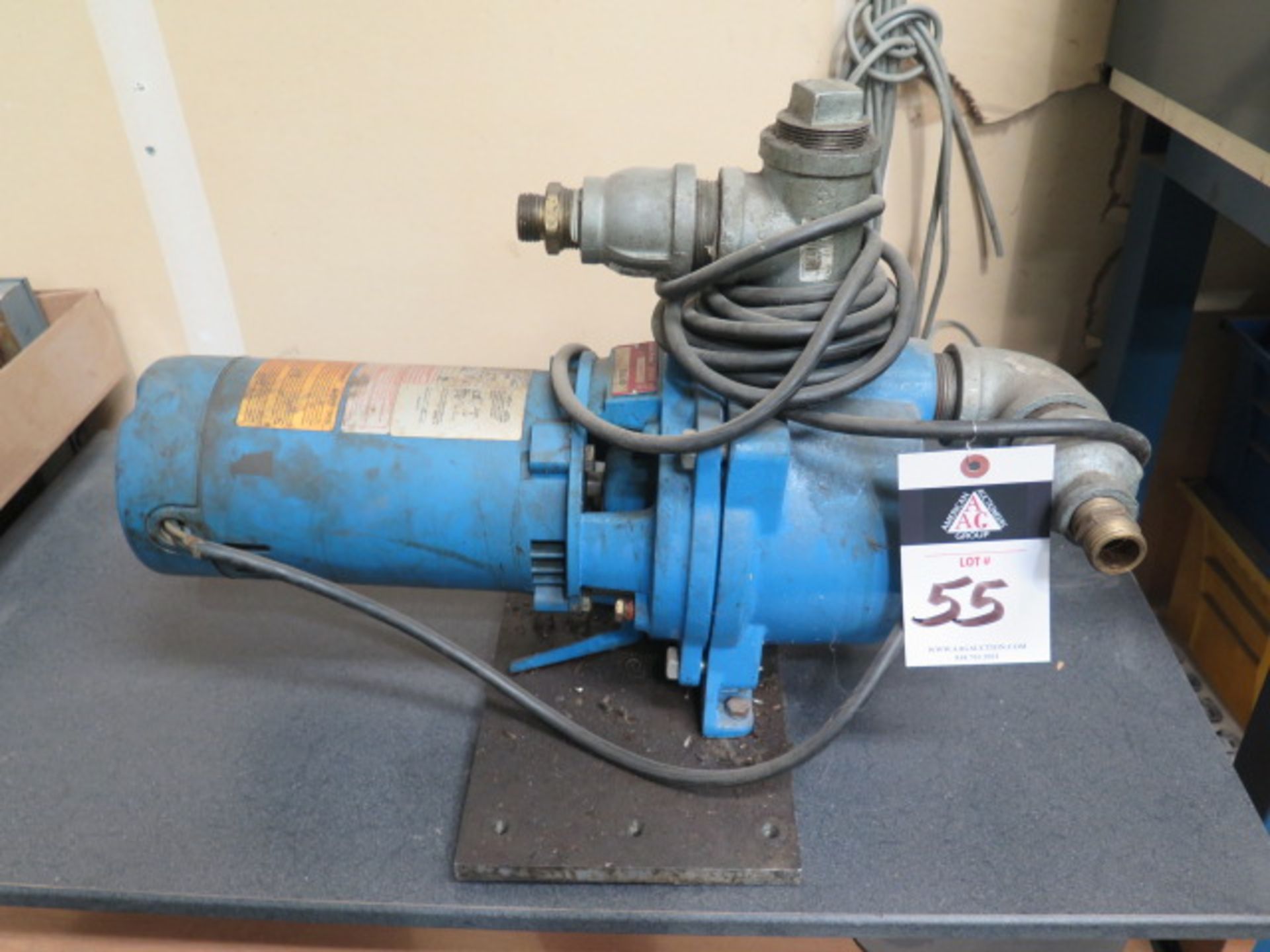 Gould 3/4Hp Water Pump