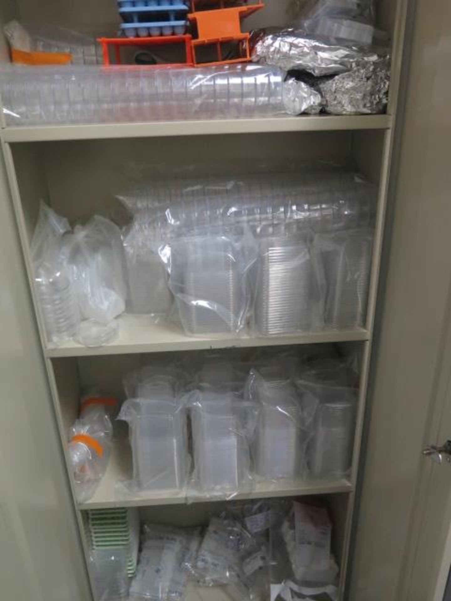 Storage Cabinet w/ Petri Dishes and Misc - Image 2 of 4