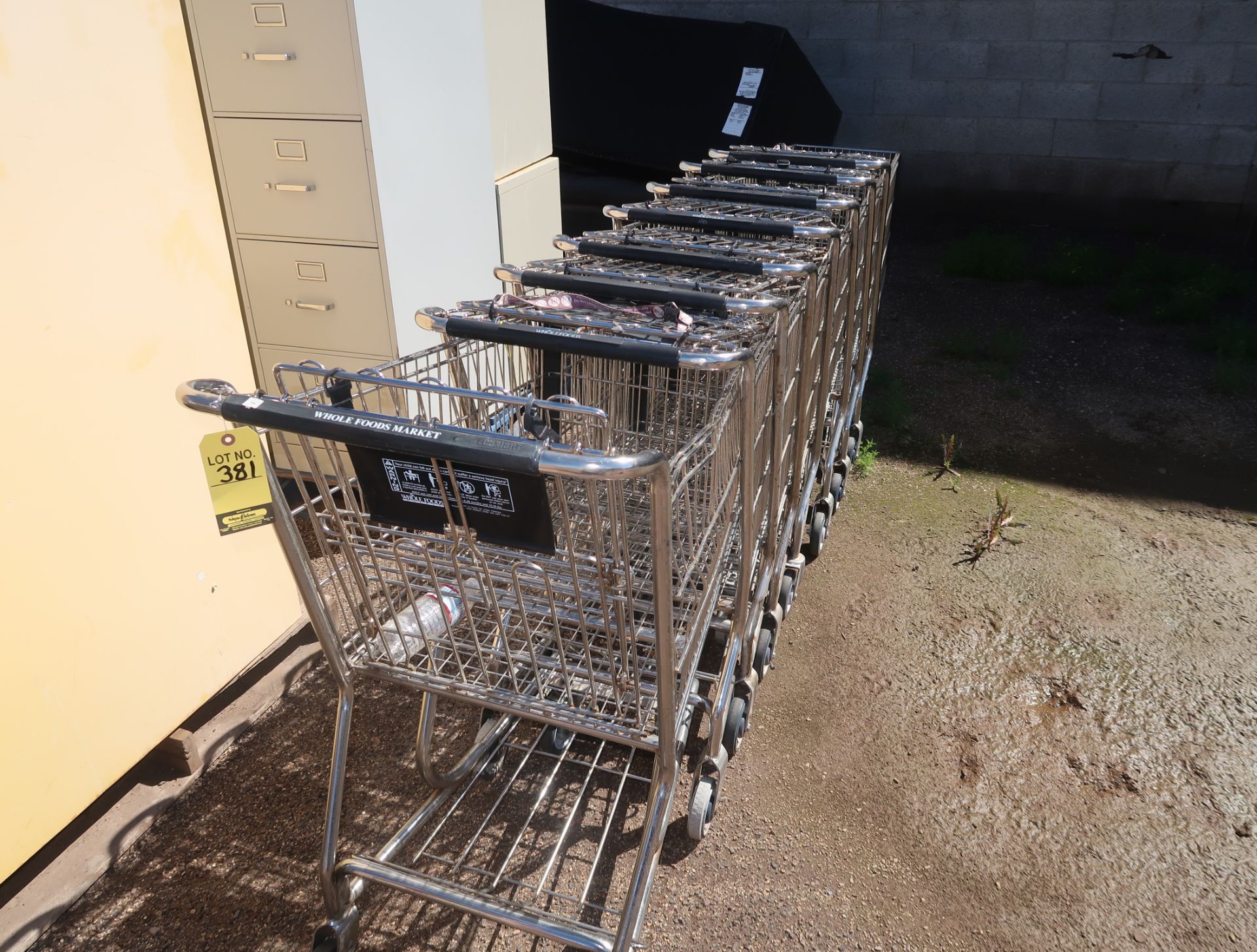 LOT 8-SHOPPING CARTS